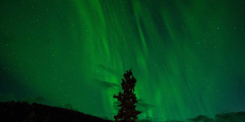 蜜桃成熟时3免费看 架构实拍图