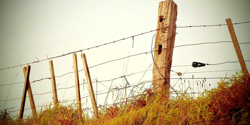 日韩女av 架构实拍图