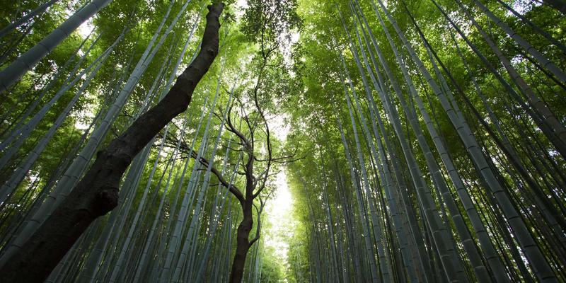 成人超碰视频 架构实拍图